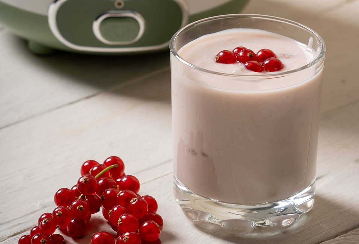 How does a yogurt maker work deals